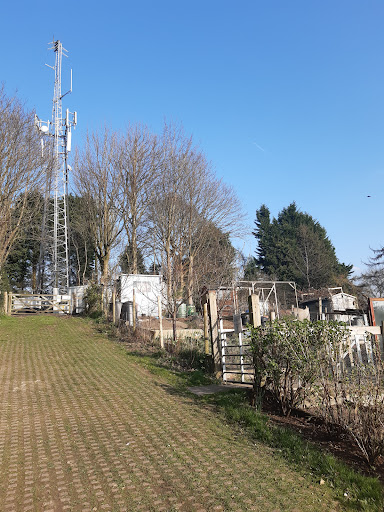 Harrop Road Allotments