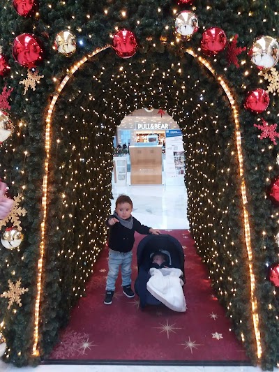 Photos of French Consulate