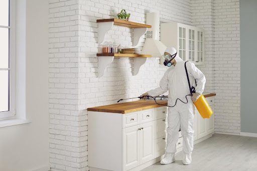 Affordable Anti Termite Treatment in Lake Town post image