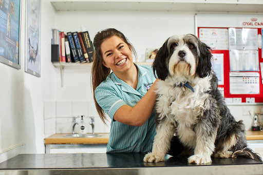 Best Friends Vet Group, Shenfield - Thumbnail