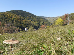 Photo n°28 de FERME AUBERGE DU HILSEN à Linthal (Restaurant)
