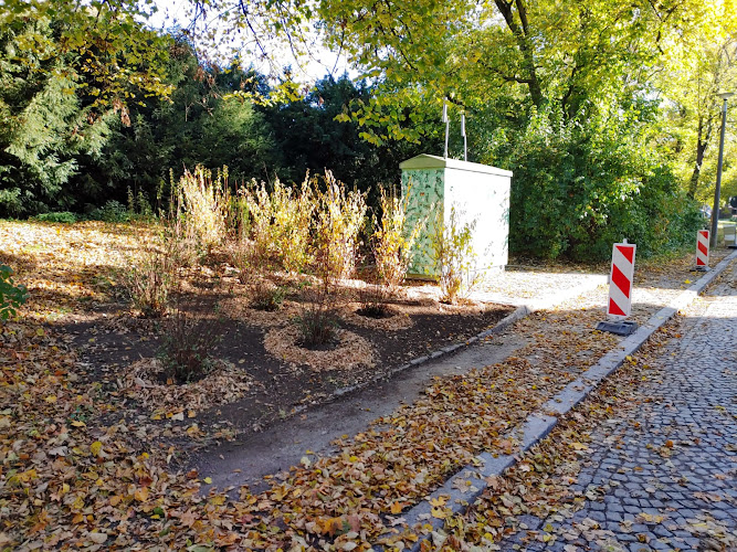 Garten- und Landschaftsbau Klotz GmbH _Tiefbau/ Landschaftsgestaltung/ Baumpflege/ Gartenbau/ Baumgutachten uvm.