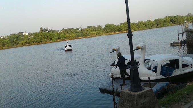 Swan Boat Service, Author: Shenal Chathuranka