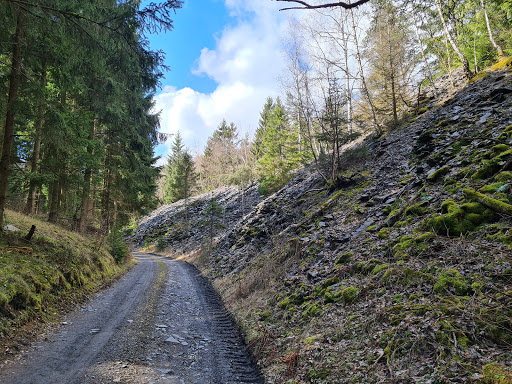 Blaues Glück