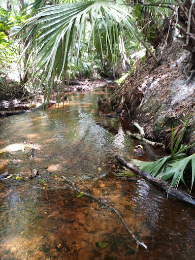 Florida Trail - Visual