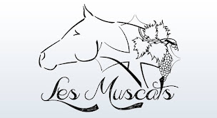 Photo n°24 de Centre équestre les chevaux des Muscats à Nébian (Ranch)