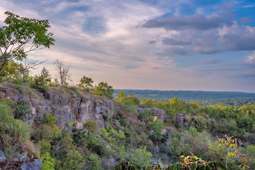 Ruffner Mountain - Visual