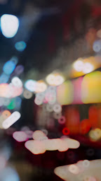 Photo n°98 de LA REINE DU KASHMIR à Paris (Restaurant de spécialités d'Asie du Sud)