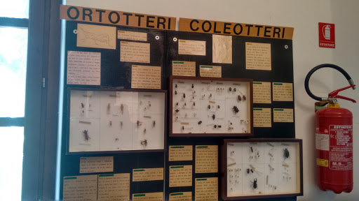Museo Parco Lame del Sesia - Thumbnail