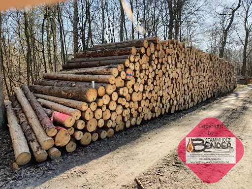 Brennholz Bender / Stammholz-Hessen - Thumbnail