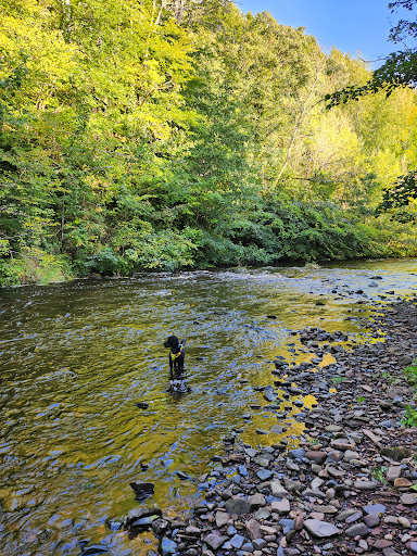 Jed Water River Path - Thumbnail