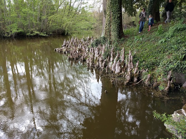 Arboretum de Balaine