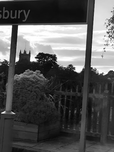 Tisbury - Visual