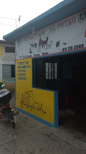 VETERINARIA "EL POTRO"