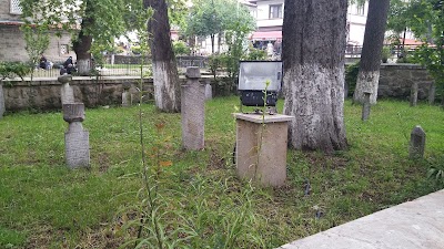 Photos of G&ouml;yn&uuml;k Y&ouml;resel &Uuml;r&uuml;nler