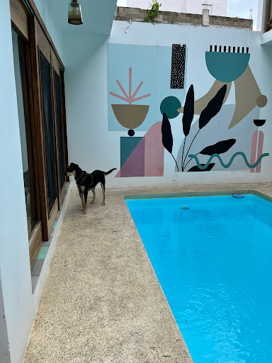 Palapa San Pancho - Thumbnail