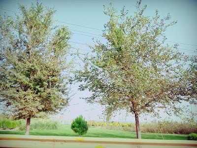 Photos of Behesht-e-Zahra