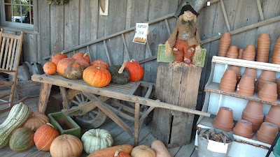 Photos of Ikenberry Orchards