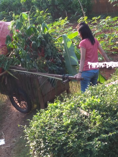 Photos of Taman Desa Bleber