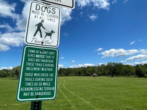 Mount Hope Dog Walking Park - Thumbnail