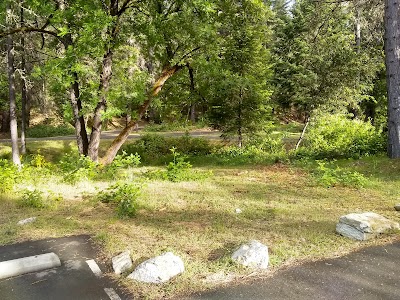 Douglas City Campground