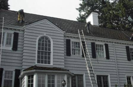 All Surface Cleaning - Portland Roof & Gutter Cleaning Company Gallery - United States