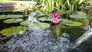 Photo n°19 de Domaine Du Vern à Saint-Affrique (Hôtel)