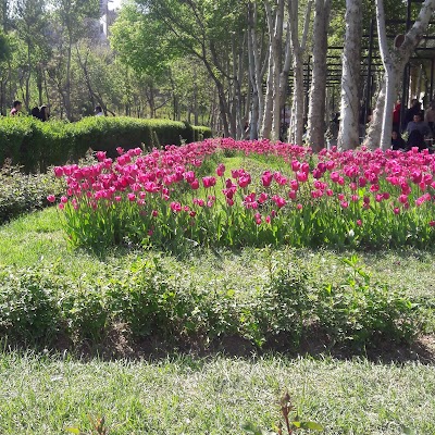 Photos of Baharan Bostan
