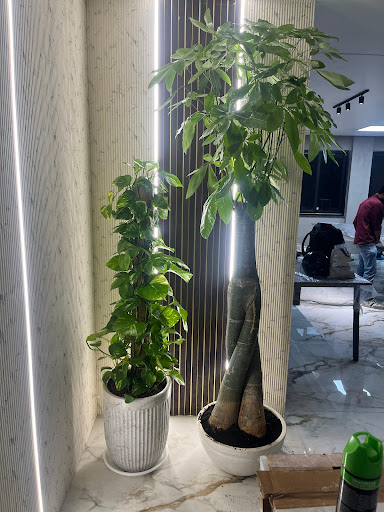 Gallery image 9