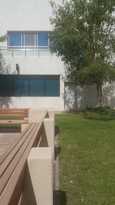 Photos of Arab Open University