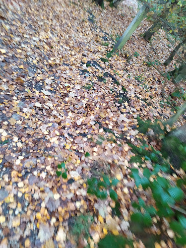 Reviews of Mousehold Heath Public Car Park in Norwich - Parking garage