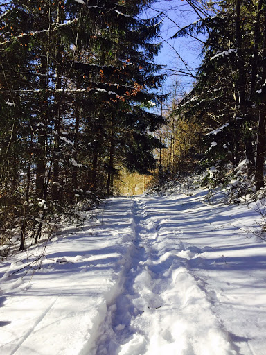 Gemeinde Diedorf-Rhön - Visual