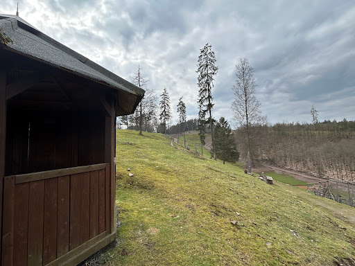 Aussichtshütte im Wild Park - Thumbnail