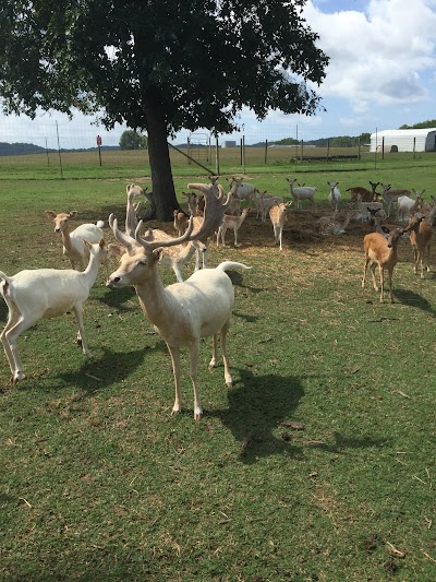 Eureka Springs Safari Park