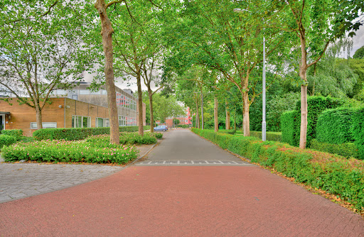 Jeugdbescherming west