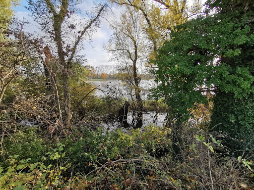 Redener Weg - Thumbnail