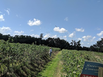 Wacahoota Farms