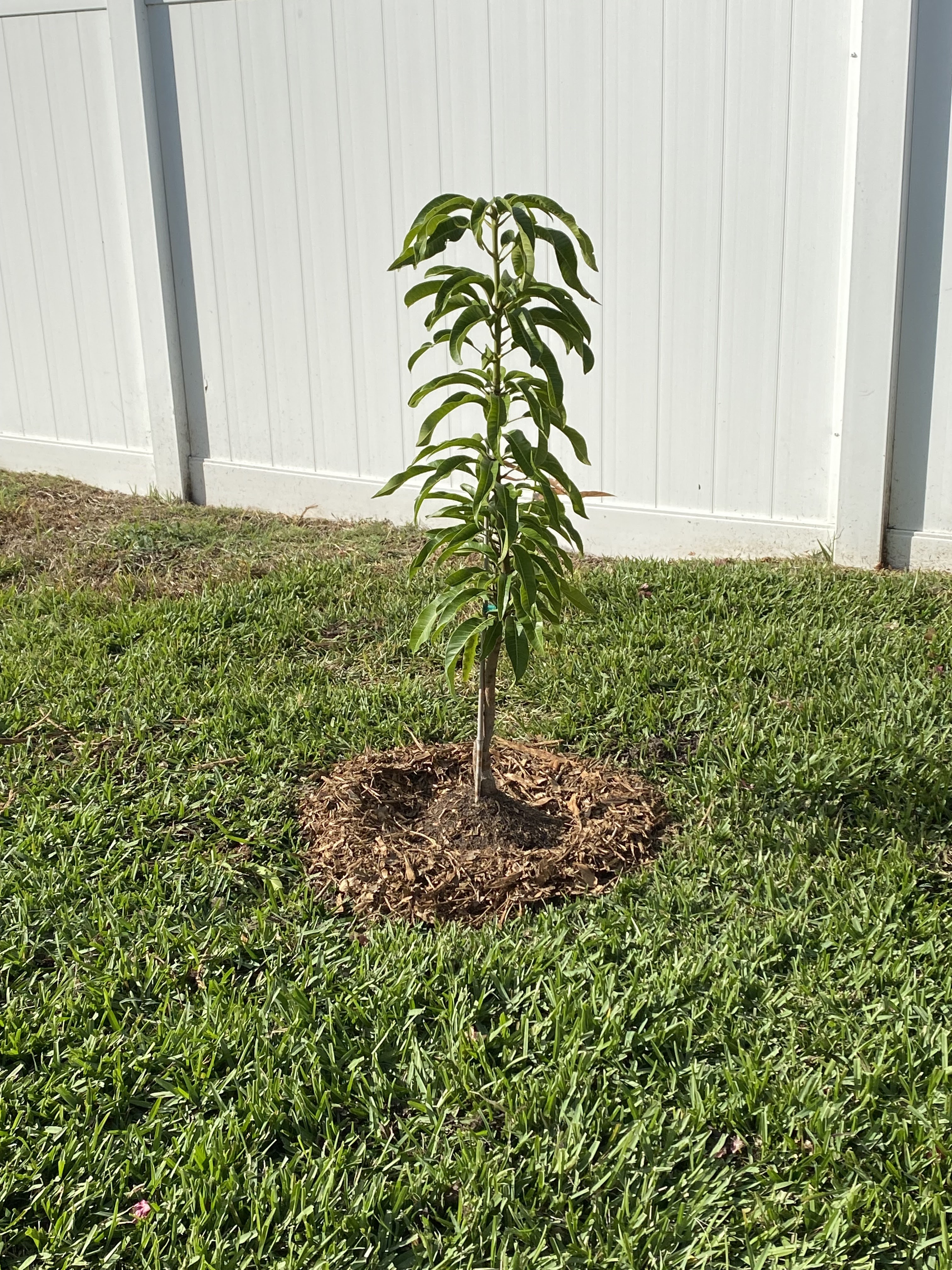 Triumphant Gardens, LLC