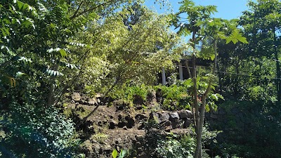 Photos of Bambarakanda Holiday Resort