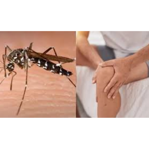 At Dr. Ashutosh Ushir’s Bone and Joint Clinic, located on Gangapur Road, Nashik, we specialize in… post image