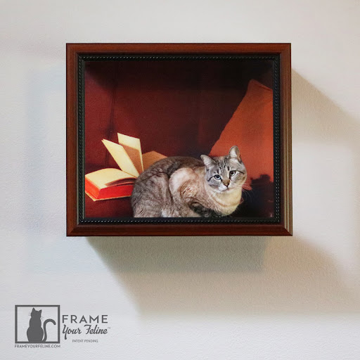 Frame Your Feline - Thumbnail