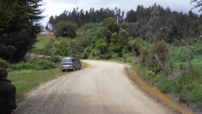 Photos of Estadio Viejo