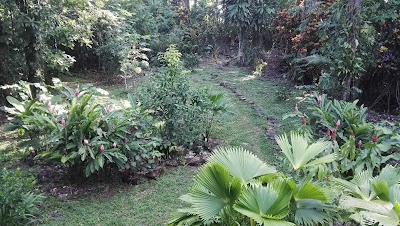 Photos of Angelika&acute;s Guest House