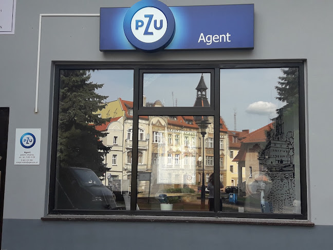 Opinii despre PZU Ubezpieczenia Trzebnica - Agent Anna Zegarowska în Trzebnica - Agencja ubezpieczeniowa