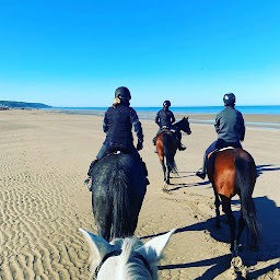 Photo n°4 de A 10 mn de Deauville Balade à cheval domaine de l'Atlas à Glanville (Club d'équitation)