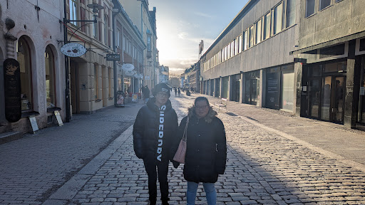Fältskären - Visual