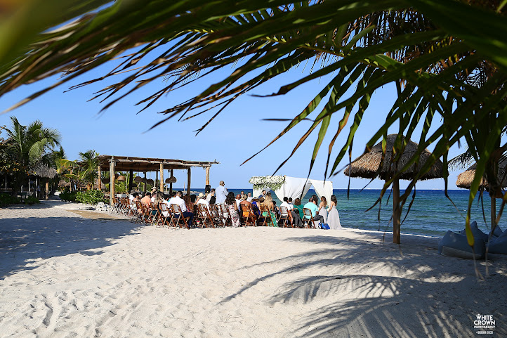 Blue Venado - Beach Wedding by null