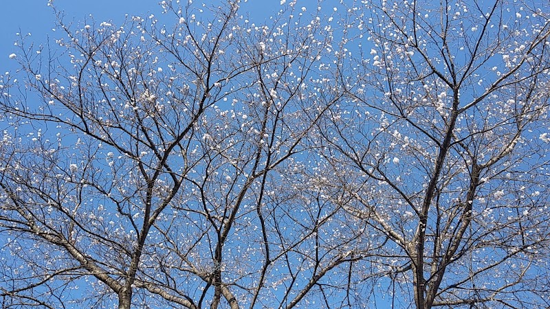 江戸川区立 塩沢江戸川荘