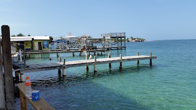 Photos of Utila Dive Centre
