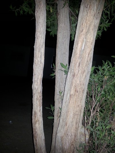 KGL Farm